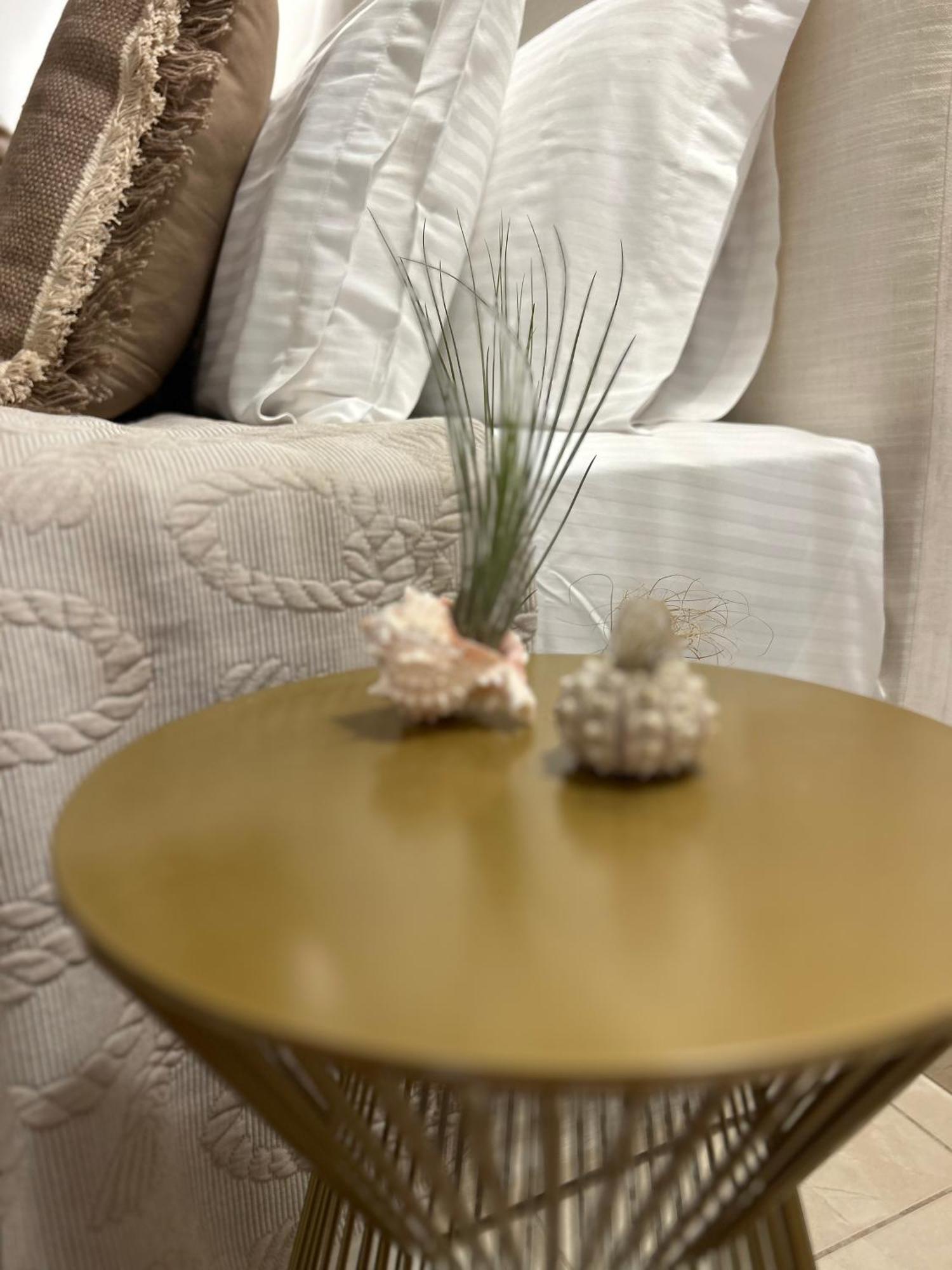 Calliopes By The Sea Boutique Suites 帕拉利亚狄奥尼索 外观 照片